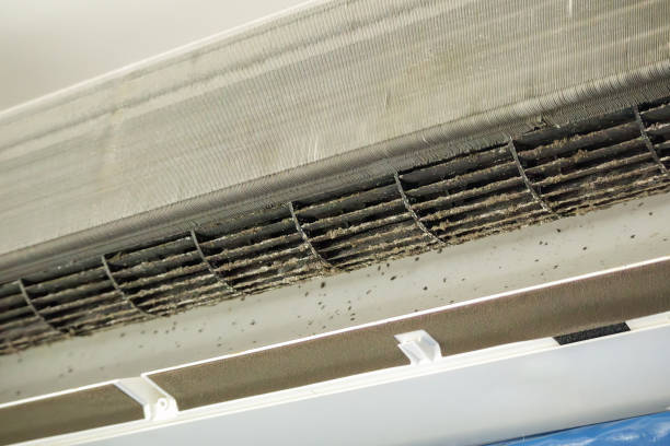 Best Professional Duct Cleaning Services  in Lowell, MA